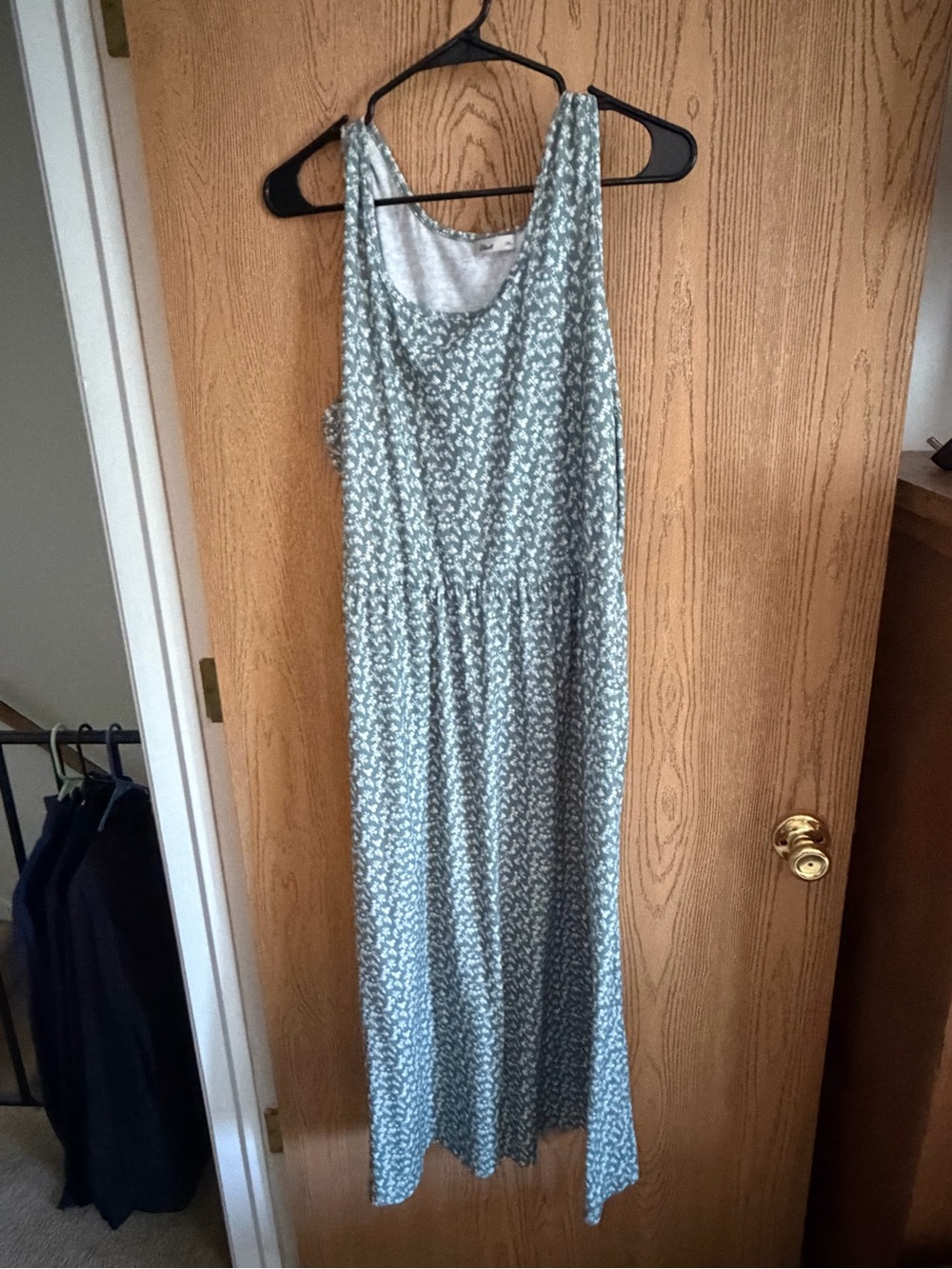 Sleeveless Floral Maxi Dress in Light Sage Green